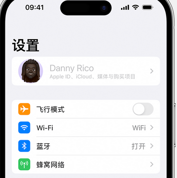 伊宁县appleID维修服务iPhone设置中Apple ID显示为灰色无法使用