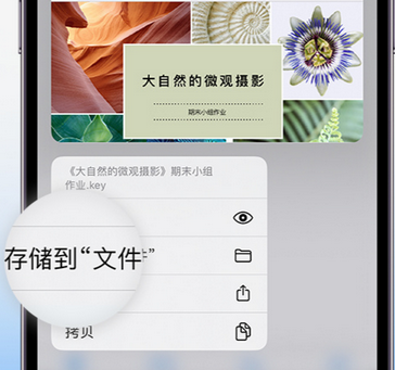 伊宁县apple维修中心分享iPhone文件应用中存储和找到下载文件