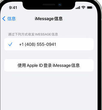 伊宁县apple维修iPhone上无法正常发送iMessage信息 