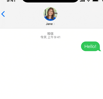 伊宁县apple维修iPhone上无法正常发送iMessage信息