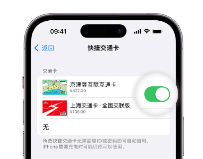 伊宁县apple维修点分享iPhone上更换Apple Pay快捷交通卡手绘卡面 