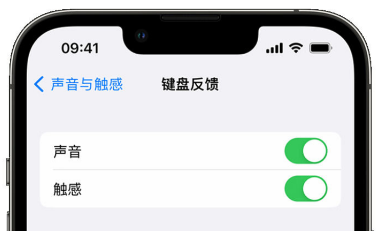 伊宁县苹果手机维修分享iPhone 14触感键盘使用方法 