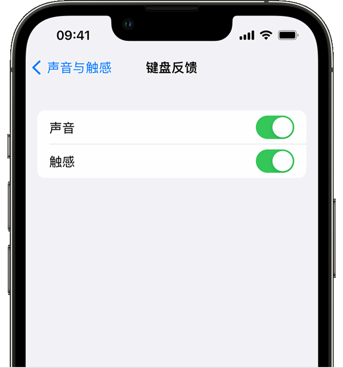 伊宁县苹果14维修店分享如何在 iPhone 14 机型中使用触感键盘 