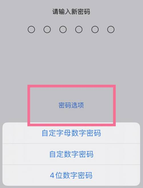 伊宁县苹果14维修分享iPhone 14plus设置密码的方法 