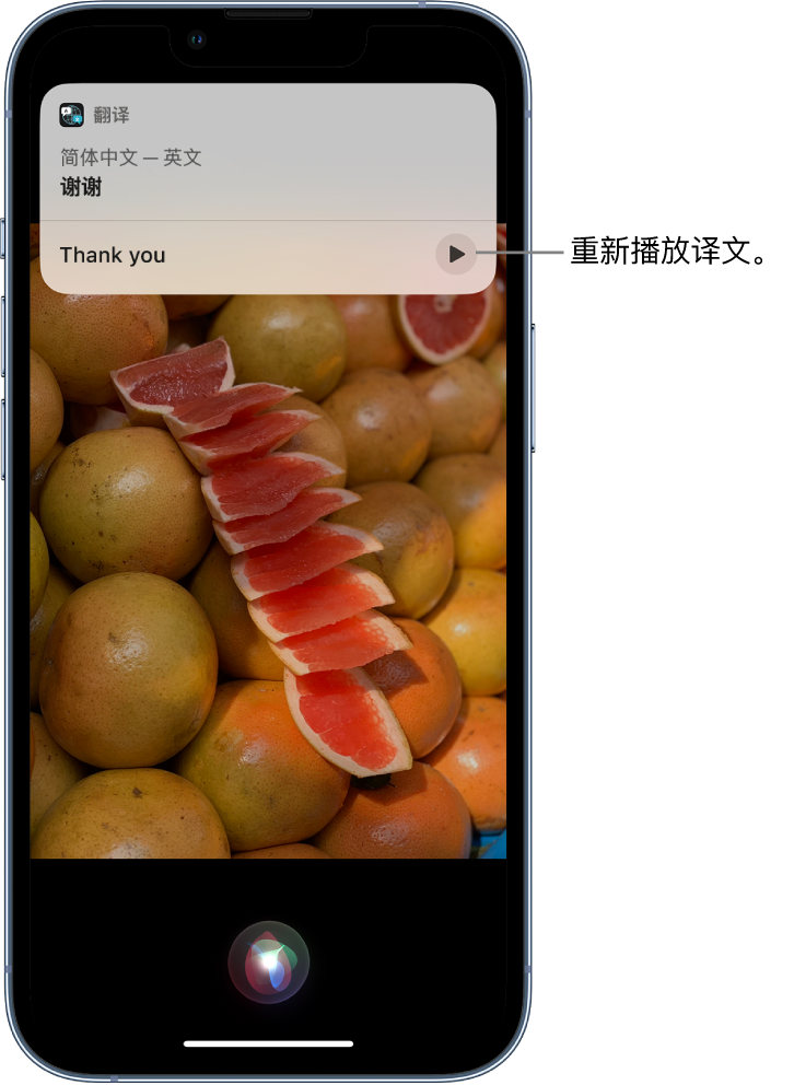 伊宁县苹果14维修分享 iPhone 14 机型中使用 Siri：了解 Siri 能帮你做什么 