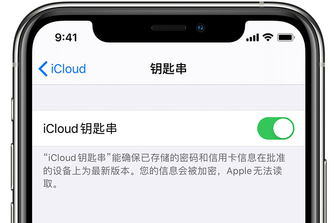 伊宁县苹果手机维修分享在 iPhone 上开启 iCloud 钥匙串之后会储存哪些信息 