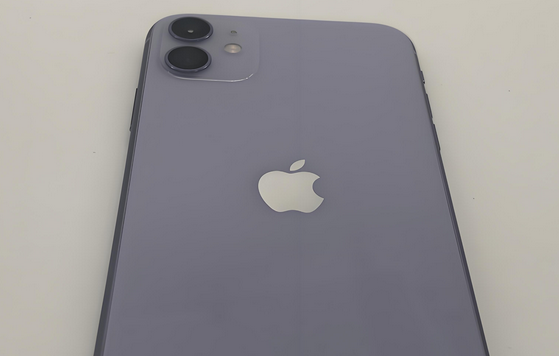 伊宁县苹果11系统维修分享iPhone11手机系统崩溃无法开机如何解决